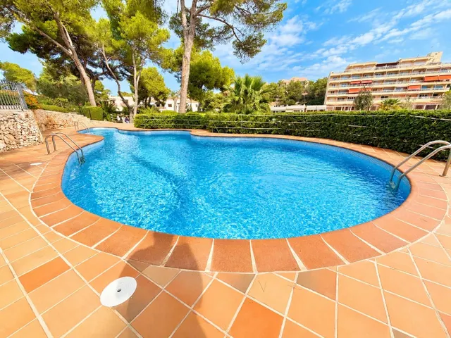 Apartamento con amplia terraza y vistas al puerto en Portopetro — 14