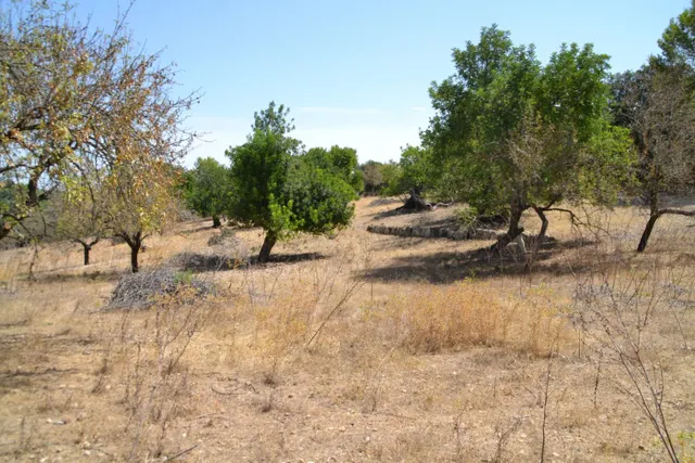 Finca rústica en Campanet — 9