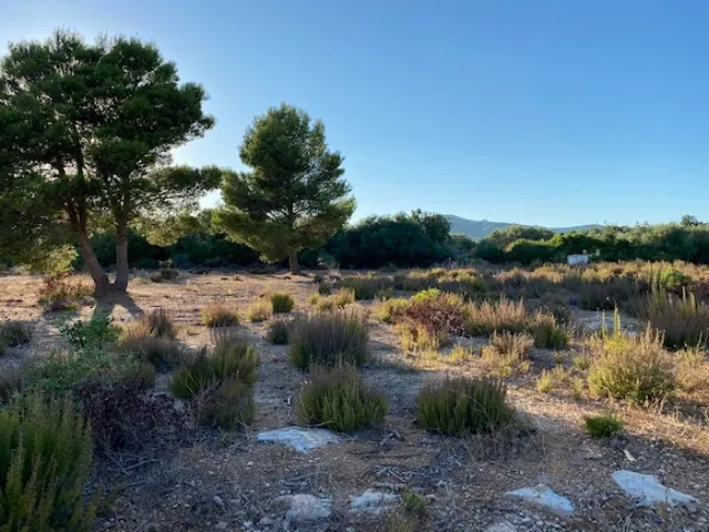 Fantástica finca a 1,5 km del mar en l'Ampolla — 9