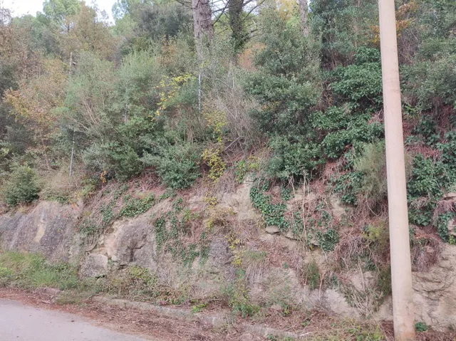 TERRENO EN VENTA EN LA URBANIZACION MASIA DEL SOLÀ (FINCA RUSTICA) MONISTROL DE CALDERS — 30