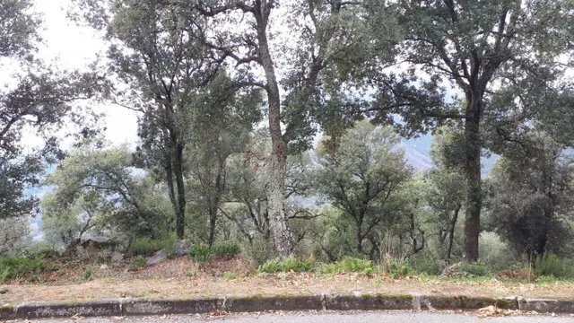 Terreno en venta Fogueres de Montsoriu