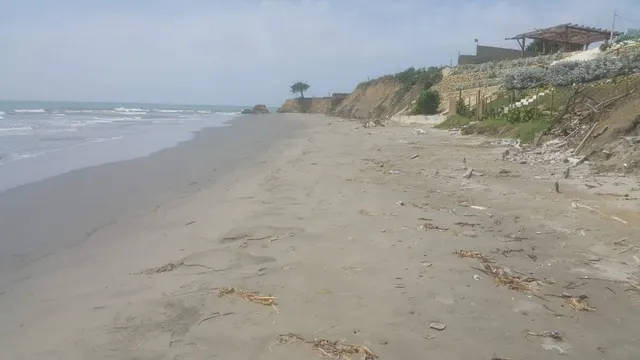 Venta de terreno con playas en sector de Punta Canoa — 15