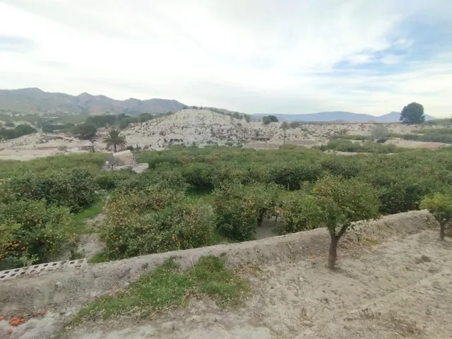 ¡Descubra una oportunidad única en el corazón del Valle de Ricote! — 3