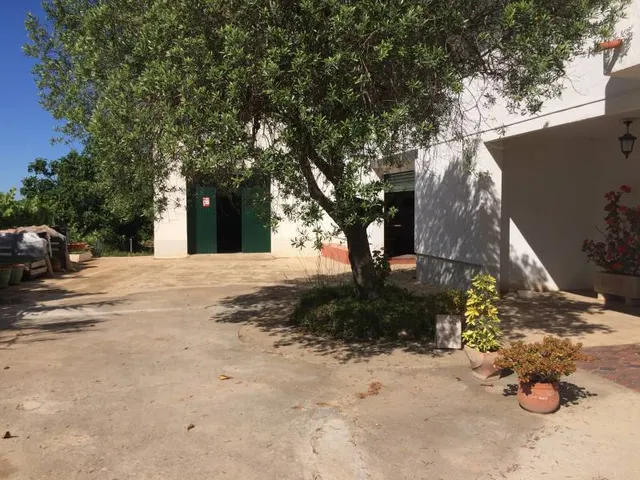 MASIA DEL 1960 CON 39000M2 DE TERRENO AGRICOLA AL LADO DEL MAR DE SANT SALVADOR — 8