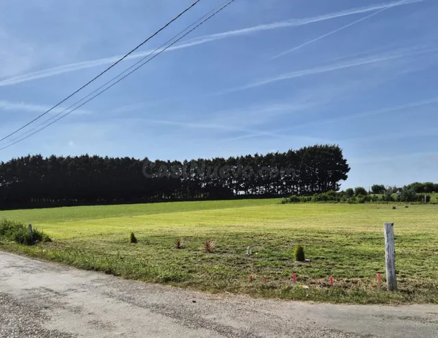 PARCELA EN LA ZONA DE LOS CAMPOS, TAPIA DE CASARIEGO