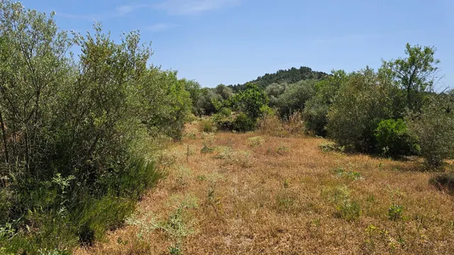 VENTA DE 3 PARCELAS AGRUPADAS CON POSIBILIDAD DE CONSTRUIR UNA VIVIENDA UNIFAMILIAR !! — 11