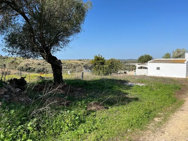 CASA ANTIGUA EN PARCELA RÚSTICA — 3