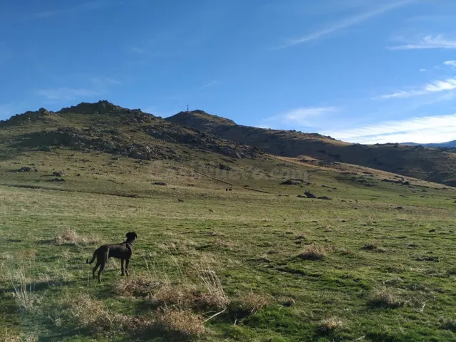VENTA.-.FINCA RUSTICA.-.ATALAYA.-.PALAZUELOS