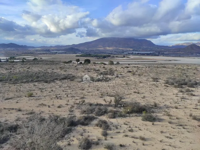 SE VENDE PARCELA RÚSTICA  DE 47.124 M CON CASA DIÁFANA EN ORITO. — 5