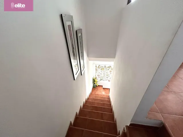 FANTASTICO ADOSADO EN LA JUNTA DE LOS RIOS — 10
