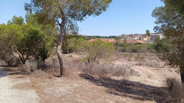 VENTA DE SOLAR EN ALTORREAL — 3