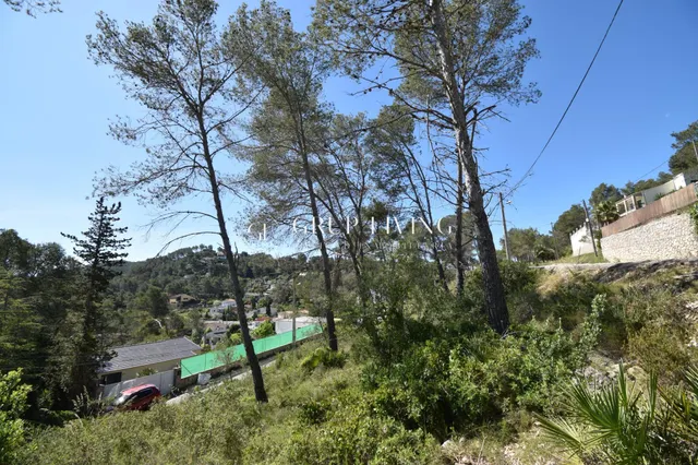 TERRENO EN MAS MESTRE, OLIVELLA — 5