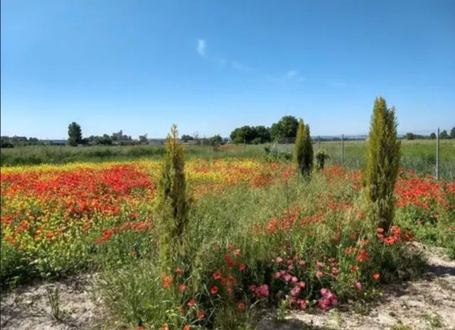 Terreno rural en venta - Castilla y leon - foto 4