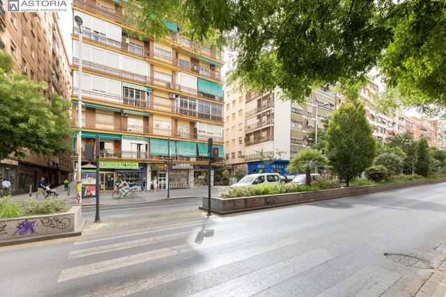 Gran piso en pleno centro de Granada — 4