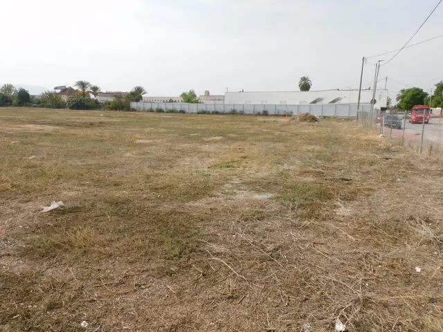VENTA PARCELA DE HUERTA DE 8.323 M2 EN CRTA. ALICANTE - foto 2