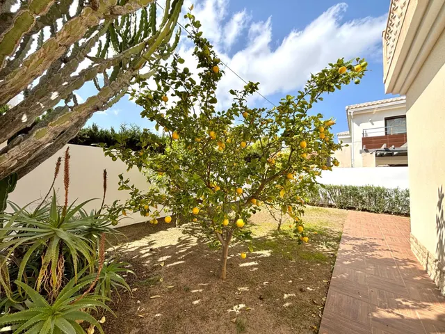 Villa 4 habitaciones 261m² en venta - Costa blanca — 7