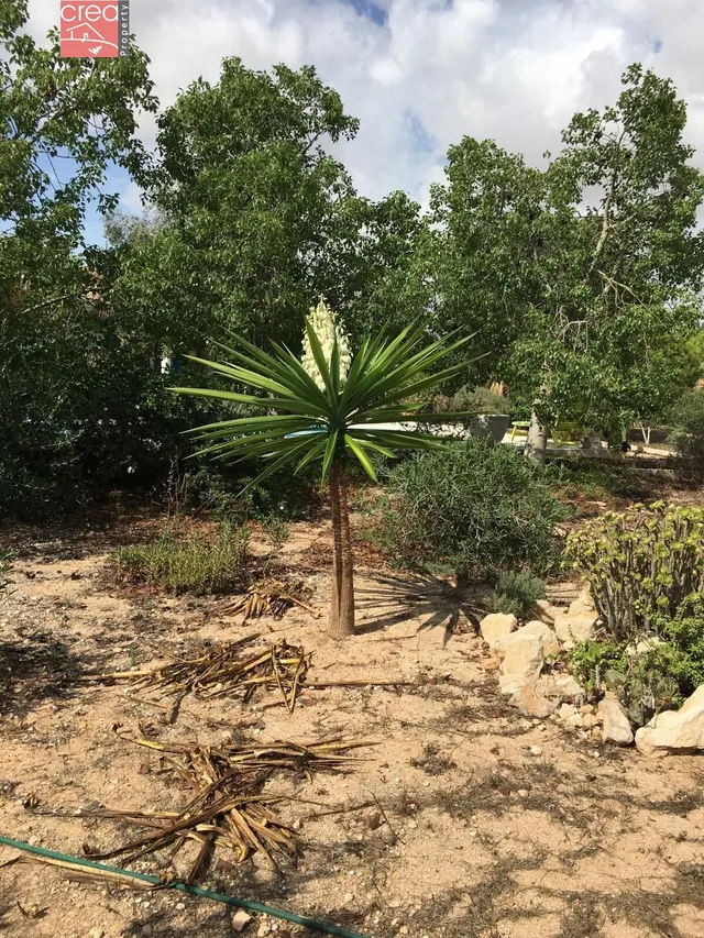 PRECIOSA Y ELEGANTE CASA DE CAMPO CON JARDINES Y PISCINA PRIVADA EN EL VALLE DEL SOL — 40
