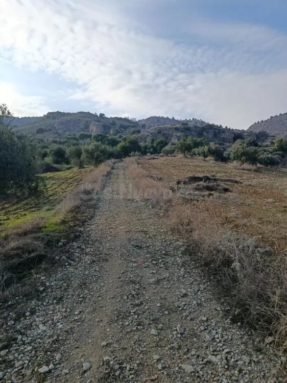 Parcela en venta - Alora pueblo — 3