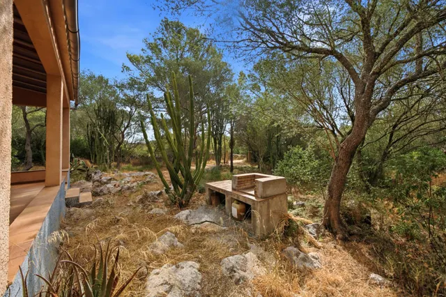 Encanto rústico en plena naturaleza, a solo 5 minutos de Es Cruce – Petra, Mallorca — 26