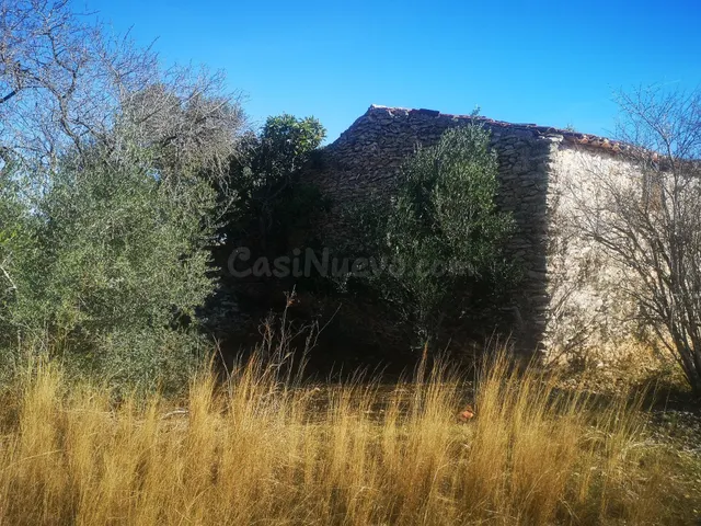 Terreno rural en venta - Traiguera - foto 2