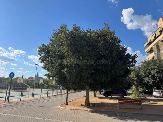 NUDA PROPIEDAD EN ZONA CÁMARA DE COMERCIO – GRANADA - foto 5
