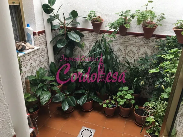 MAGNIFICA CASA EN ALCOLEA. — 4