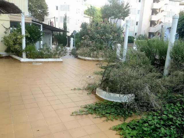 Local Restaurante en Zona Turística Canyamel, apto cualquier negocio — 5
