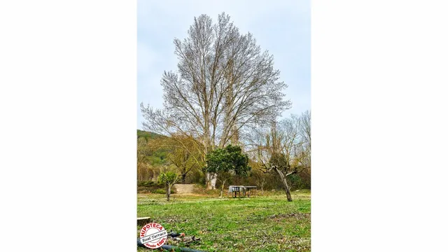 El rincón que buscabas en las Montañas de Prades: 3 fincas a - foto 5