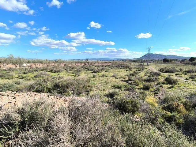 Parcela en venta - Castilla la mancha - foto 3