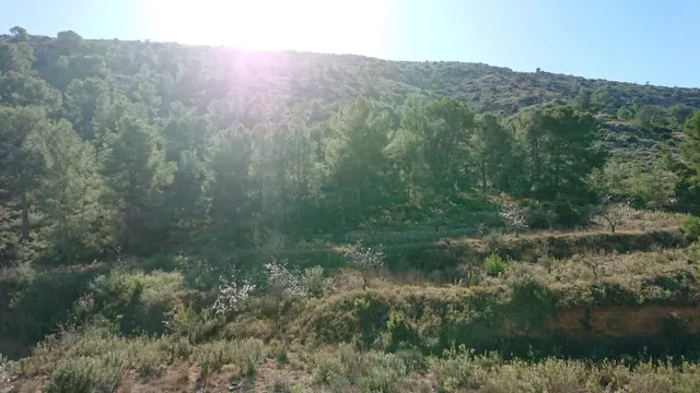 SE VENDE PARCELA EN TOTANA (MURCIA) — 2