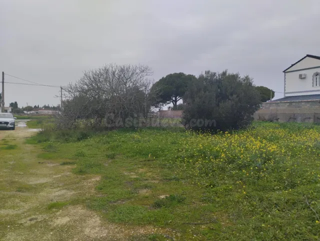 VENTA DE PARCELA NOVO SANTI PETRI - foto 4
