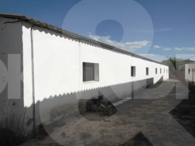 Casa TIPICA DE PUEBLO CON FINCA IDEAL PARA CASA RURAL — 10