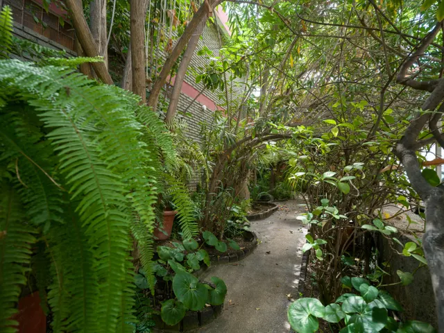 Chalet independiente junto a Paseo de Chil, con jardín, ascensor y vistas a la bahía — 8