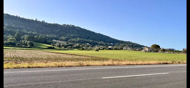 Finca rústica en Alcudia — 7