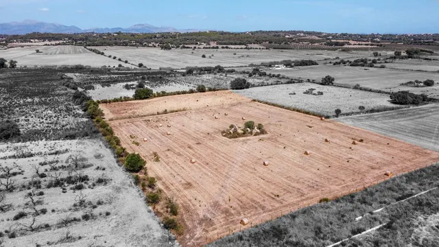Terreno edificable entre Sineu y Petra - foto 2