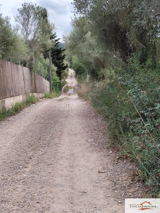 SOLAR EN VENTA EN TORRE DE CANYAMEL - foto 2