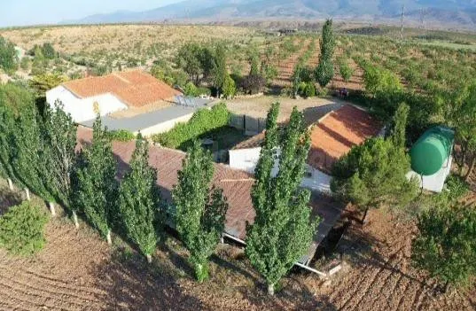 FINCA CORTIJO DE LAS PALOMAS, UN SUEÑO HECHO REALIDAD - foto 2