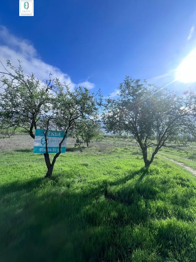 TERRENO RUSTICO EN PADUL — 4