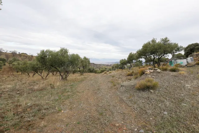 Magnífica finca de 400 olivos en Monachil — 17