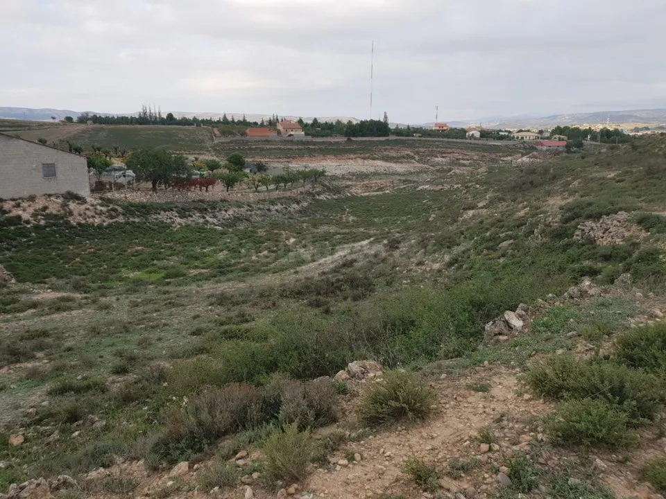 TERRENO RÚSTICO DE 6400 M2, EN PARTIDA DE LA MUELA.