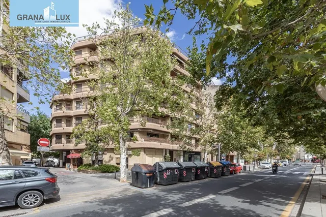 Pisazo en paseo del salón - Granada — 44