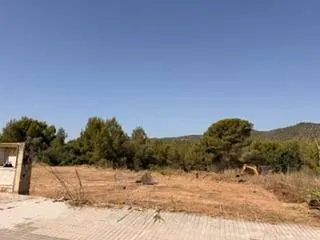 En ventas: 2 parcelas independientes -  Santa Oliva — 7