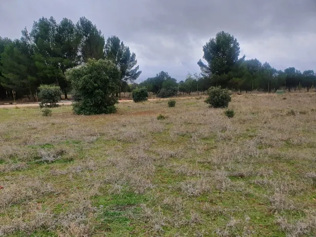 Gran oportunidad de Parcela con unas vistas Privilegiadas en los La Dehesa de los Hueros — 8