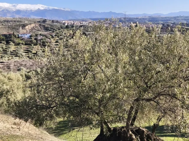 Terreno rural en venta - Sierra de huetor y la alfaguara — 2