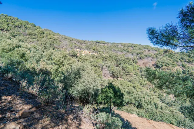 EXCLUSIVA FINCA EN PARAJE NATURAL DE JUBRIQUE - foto 2