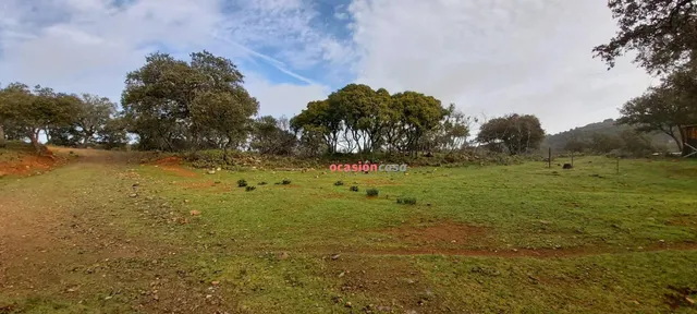 FINCA RUSTICA CON VIVIENDA — 29