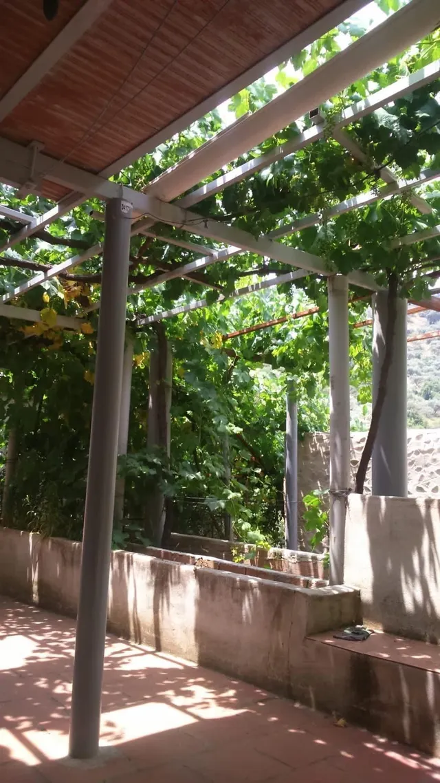 Finca rústica a la venta en Comares — 8