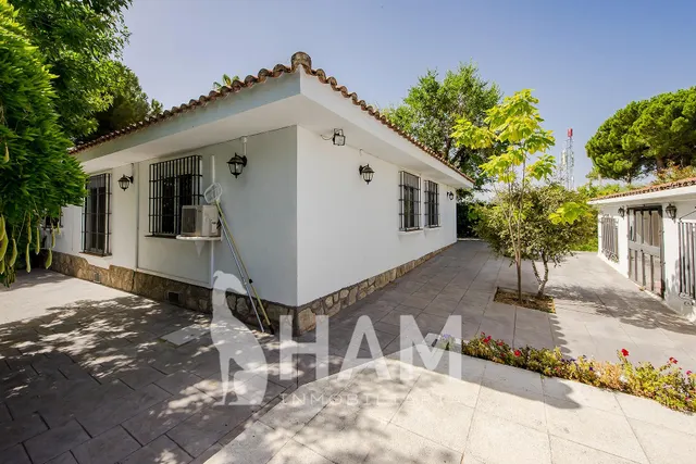 Casa en una planta con pabellón de invitados, piscina y garaje – Parcela 1.180 m2 — 15