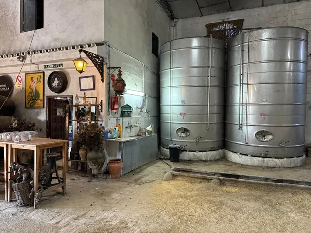Viñedo de 24,40ha 1300m2 naves y 400m2 restaurante — 15