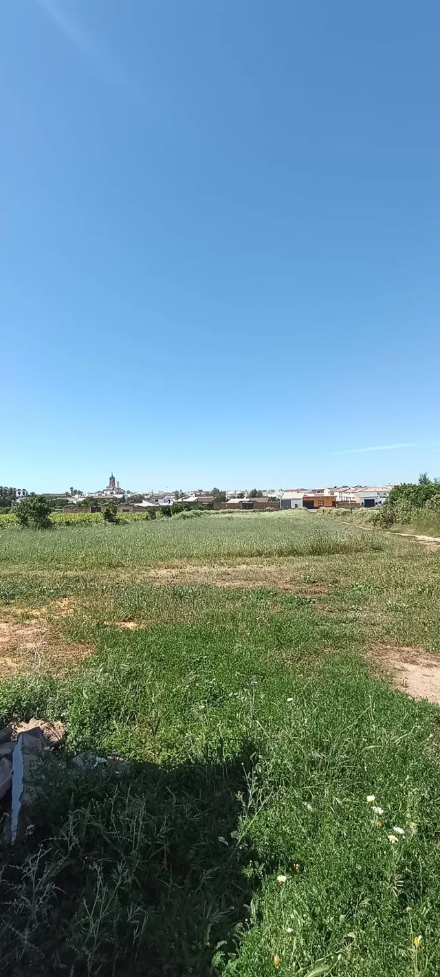 Terreno urbano de 3 hectáreas en Villamanrique de la Condesa - foto 4